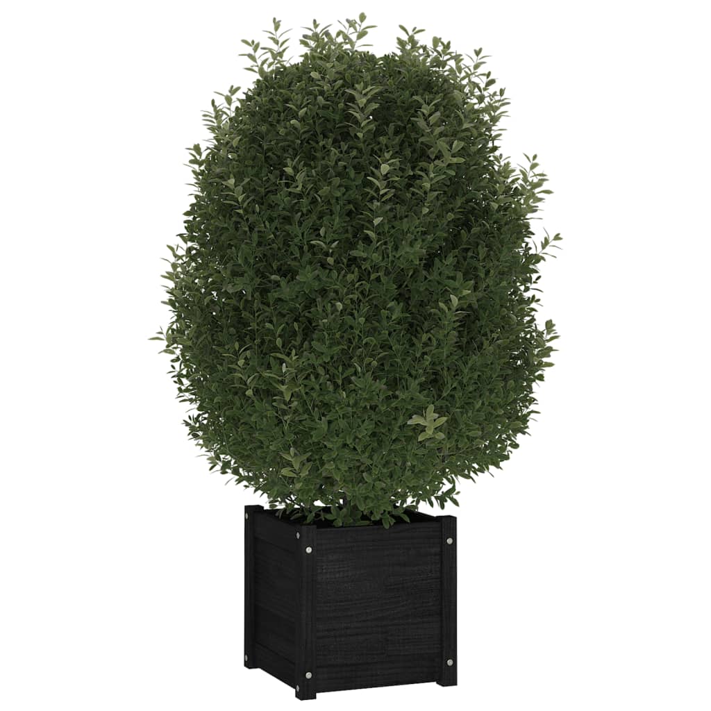 VidaXL Plantenbakken 2 st 40x40x40 cm massief grenenhout zwart