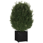 VidaXL Plantenbakken 2 st 40x40x40 cm massief grenenhout zwart