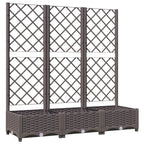 Vidaxl plantenbak met trellis bruin 120x40x121,5 cm pp