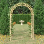 VidaXL Boog 141x97x243 cm geïmpregneerd massief grenenhout