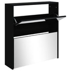 Vidaxl schoenenkast met spiegel 2-laags 63x17x67 cm zwart