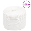 Vidaxl boottouw 10 mm 100 m polypropyleen volwit