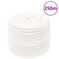 Vidaxl boottouw 14 mm 250 m polypropyleen volwit