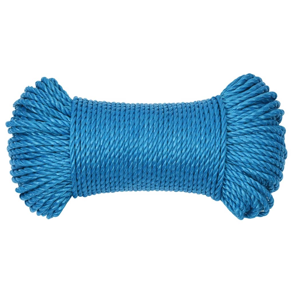 Vidaxl werktouw 8 mm 100 m polypropeen blauw