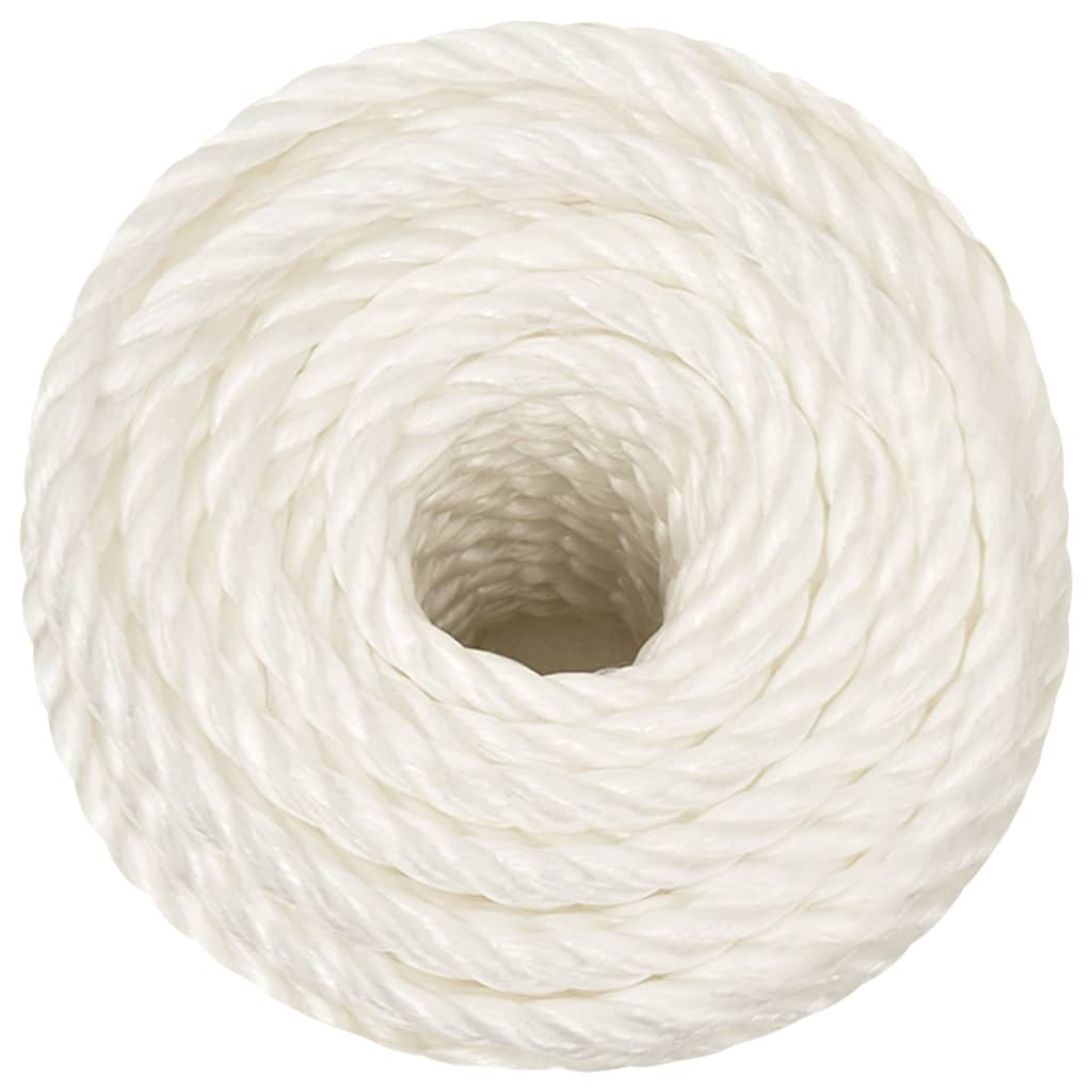 Vidaxl werktouw 10 mm 250 m polypropeen wit