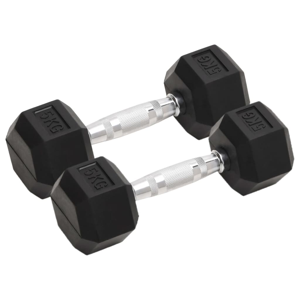 Vidaxl halters 2 st 10 kg totaal gietijzer