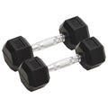 Vidaxl halters 2 st 10 kg totaal gietijzer