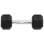 Vidaxl halters 2 st 10 kg totaal gietijzer