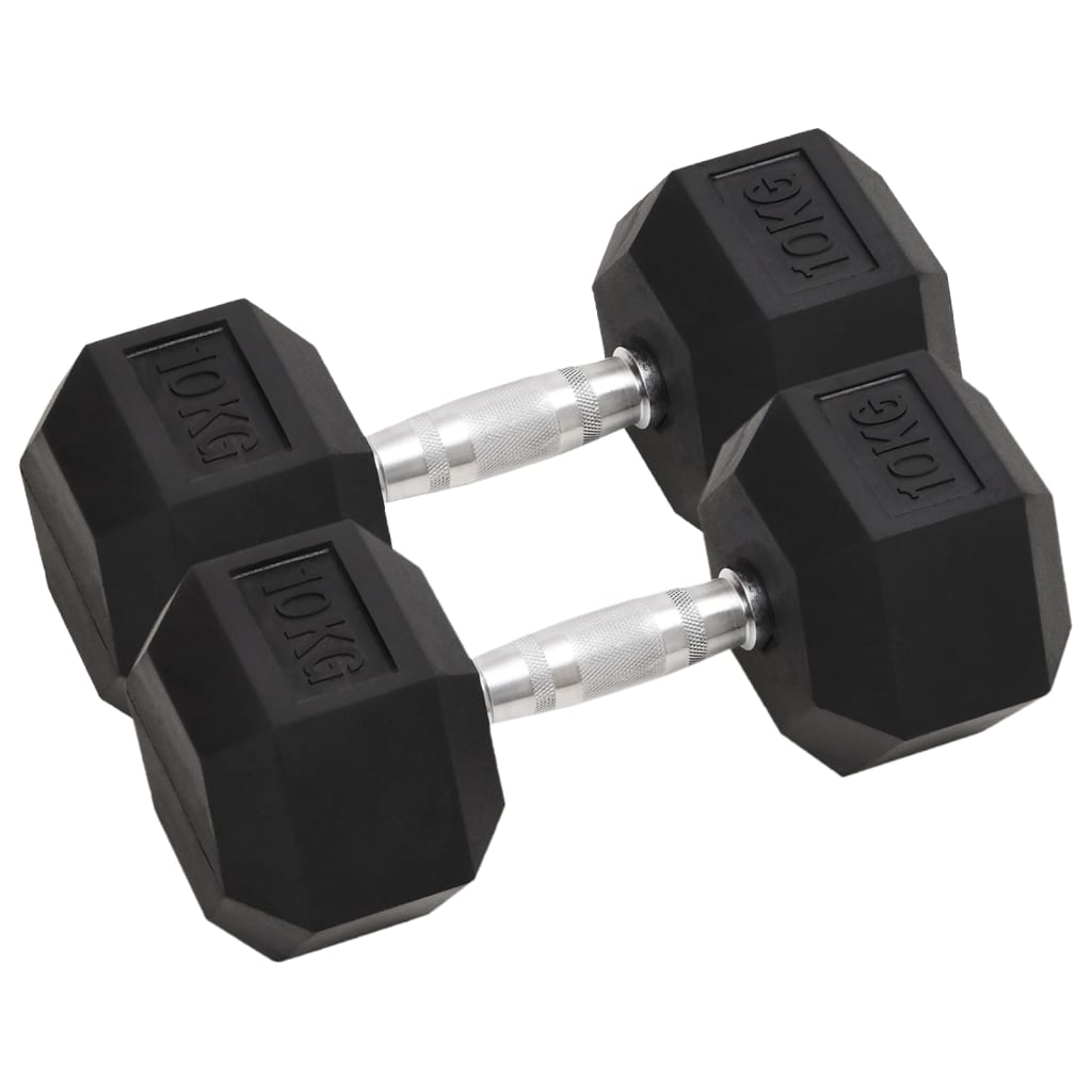 Vidaxl halters 2 st 20 kg totaal gietijzer