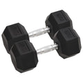 Vidaxl halters 2 st 20 kg totaal gietijzer