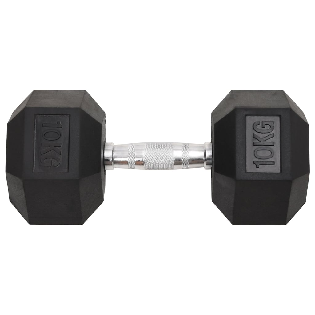 Vidaxl halters 2 st 20 kg totaal gietijzer