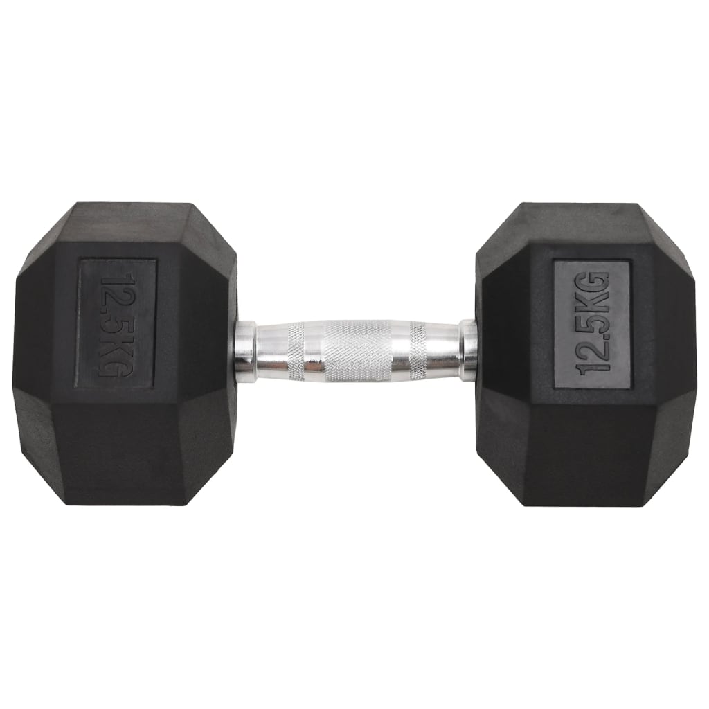 Vidaxl halters 2 st 25 kg totaal gietijzer