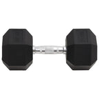 Vidaxl halters 22,5 kg gietijzer