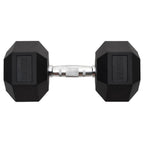 Vidaxl halters 22,5 kg gietijzer