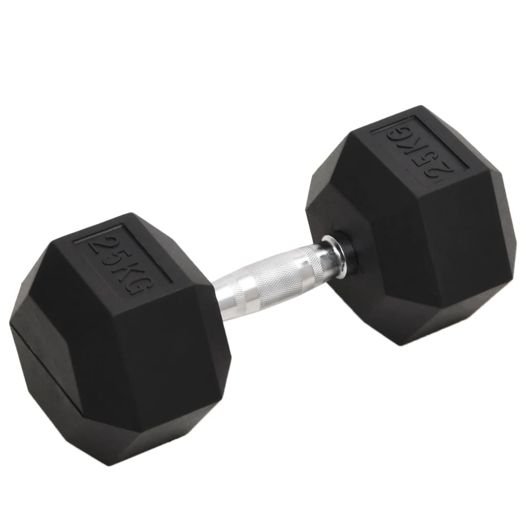 Vidaxl halters 25 kg gietijzer