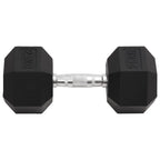 Vidaxl halters 25 kg gietijzer