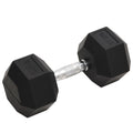 Vidaxl halters 27,5 kg gietijzer