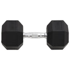 Vidaxl halters 27,5 kg gietijzer
