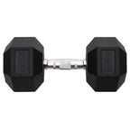 Vidaxl halters 27,5 kg gietijzer