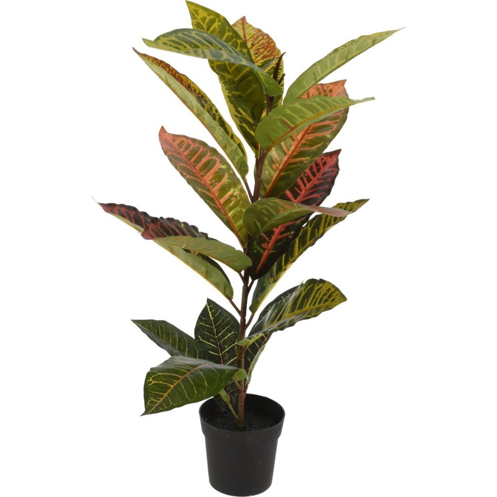 Overige Merken - Overige Merken Kunstplant calathea 40x65 cm groen/roze