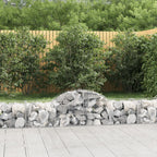 VidaXL Schanskorven 20 st gewelfd 200x50x40 60 cm ijzer