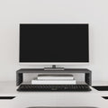 Vidaxl monitorstandaard 50x27x10 cm massief grenenhout grijs