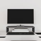 Vidaxl monitorstandaard 50x27x10 cm massief grenenhout grijs