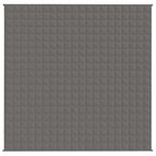 Vidaxl verzwaringsdeken 200x200 cm 9 kg stof grijs