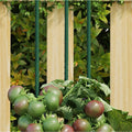 Vidaxl plantenstaken 30 st 180 cm staal groen