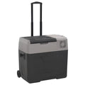 Vidaxl koelbox met wielen en handvat 30 l polypropeen zwart en grijs