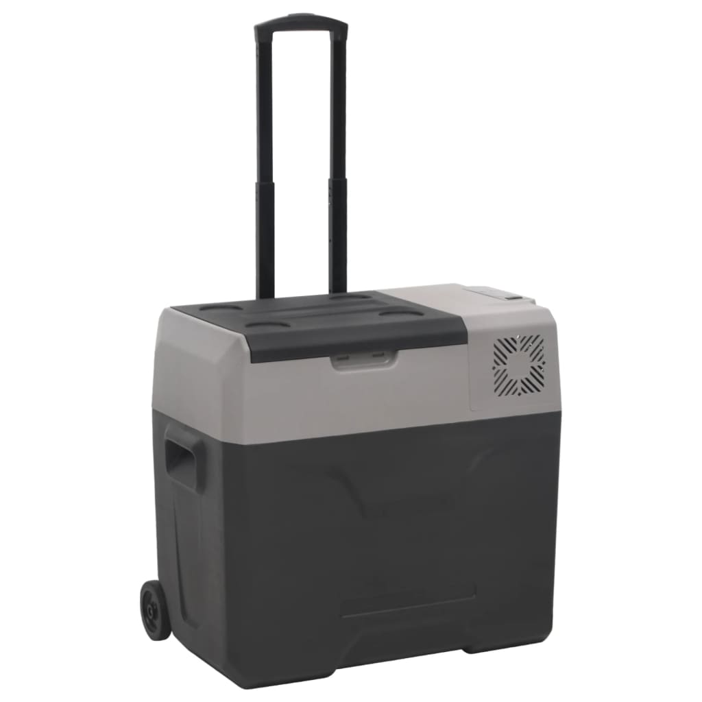 Vidaxl koelbox met wielen en handvat 30 l polypropeen zwart en grijs