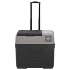 Vidaxl koelbox met wielen en handvat 40 l polypropeen zwart en grijs