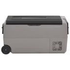 Vidaxl koelbox met wielen en handvat 60 l polypropeen zwart en grijs