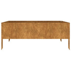 Vidaxl plantenbak verhoogd 100x100x41 cm cortenstaal