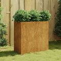 Vidaxl plantenbak 80x40x80 cm cortenstaal