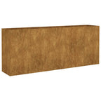 Vidaxl plantenbak verhoogd 200x40x80 cm cortenstaal