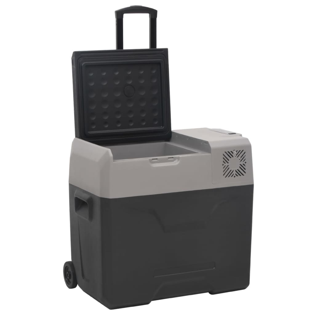 Vidaxl koelbox met wielen en adapter 50 l polypropeen zwart en grijs