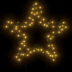 Vidaxl kerstverlichting ster met grondpinnen 80 led's 60 cm