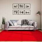 Vidaxl vloerkleed huarte laagpolig zacht wasbaar 200x200 cm rood