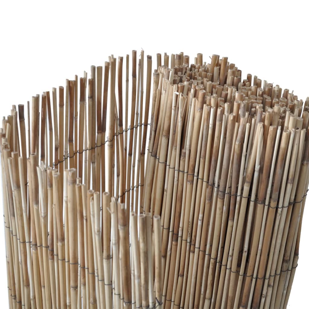 Vidaxl tuinscherm 600x100 cm riet