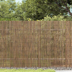Vidaxl tuinscherm 600x100 cm riet
