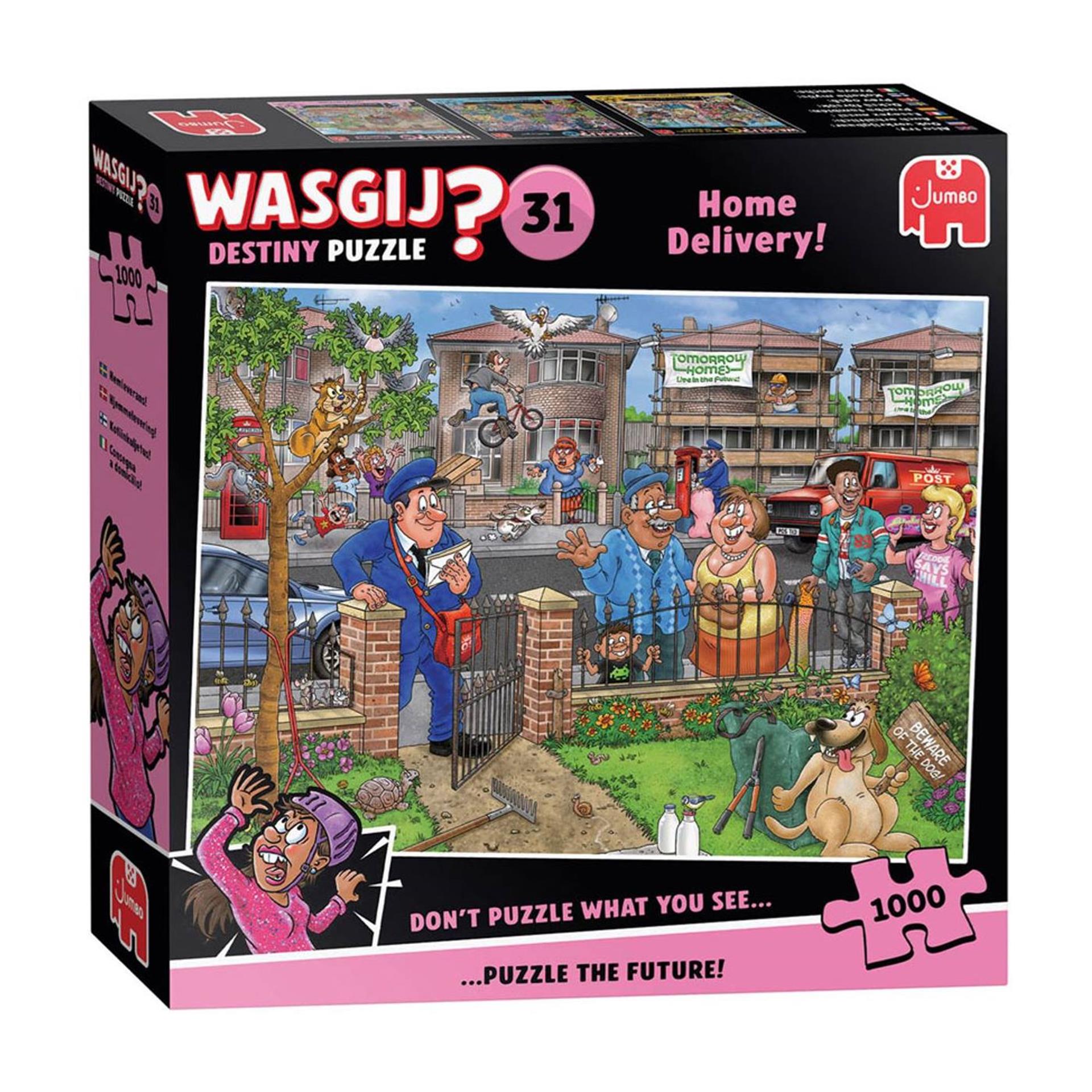 Jumbo - Wasgij destiny 31 home delivery 1000pcs