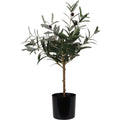 Overige Merken - Overige Merken Kunstplant olijfboom 45x66 cm groen