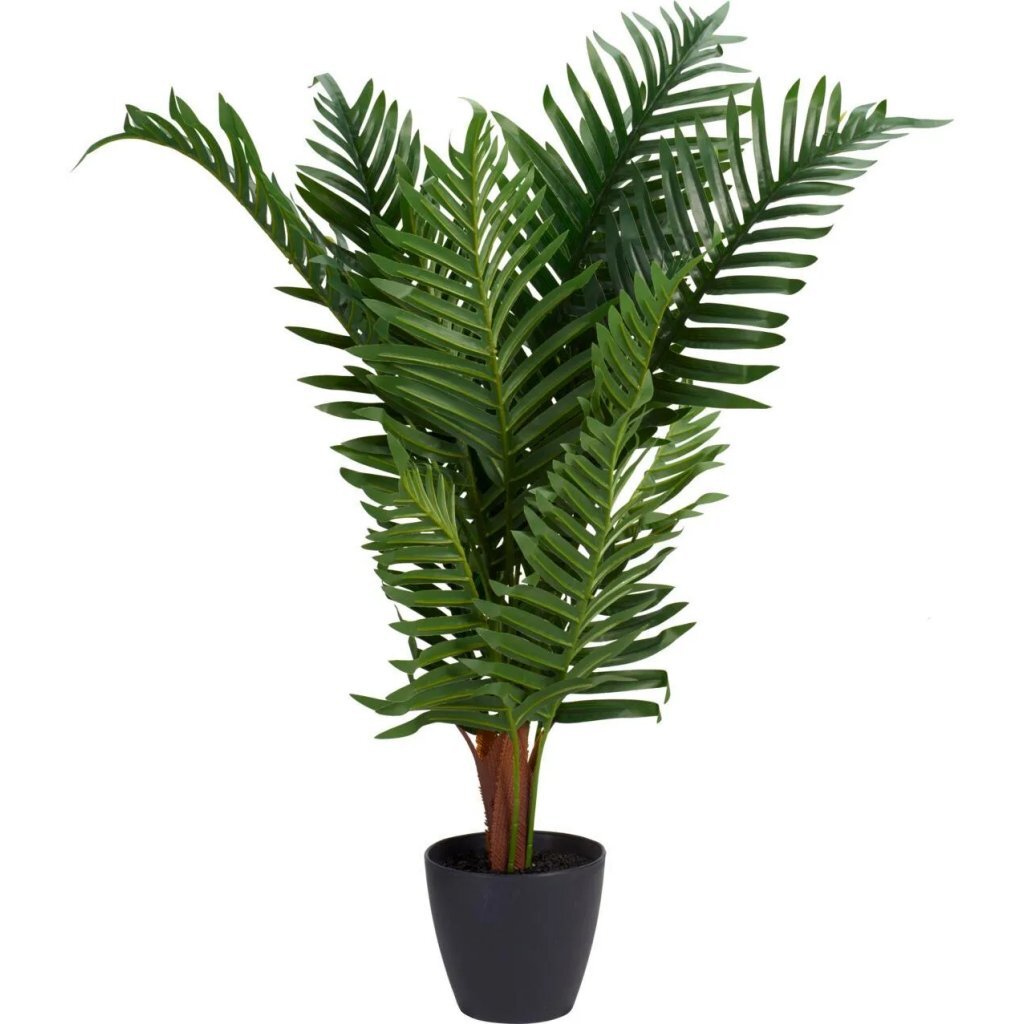 Overige Merken - Overige Merken Kunstplant palm 50x85 cm groen