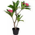 Overige Merken - Overige Merken Kunstplant plumeria 50x90 cm roze/groen