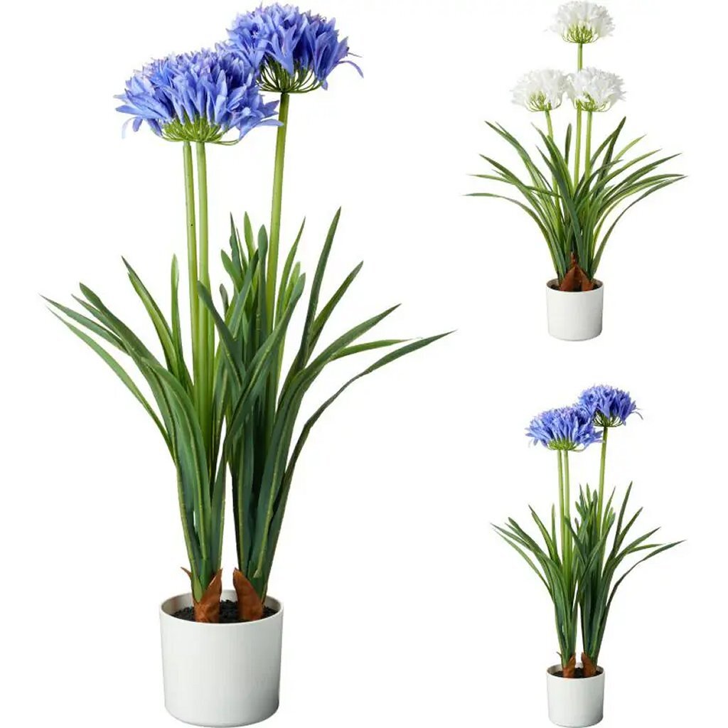 Overige Merken - Overige Merken Kunstplant agapanthus 50x80 cm blauw/wit verschillende uitvoeringen