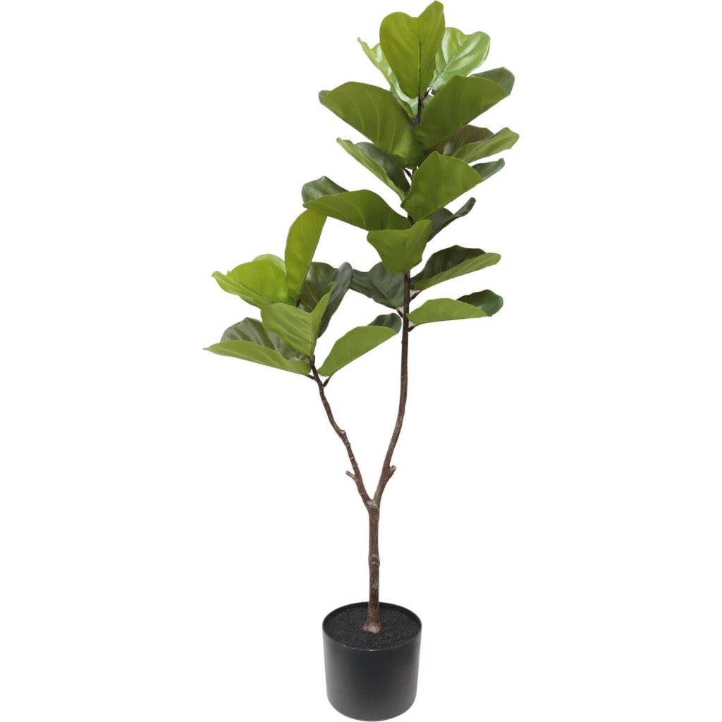 Overige Merken - Overige Merken Kunstplant ficus 60x155 cm groen