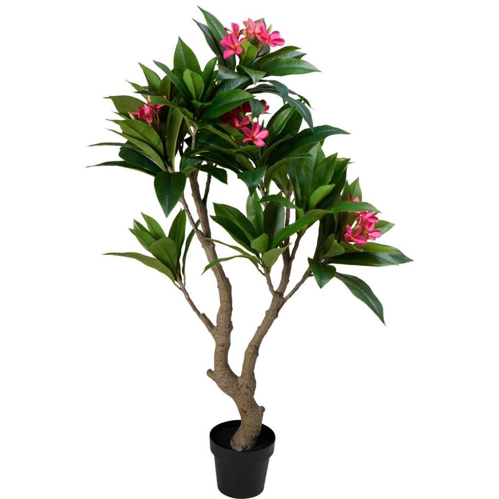 Overige Merken - Overige Merken Kunstplant plumeria 75x150 cm roze/groen