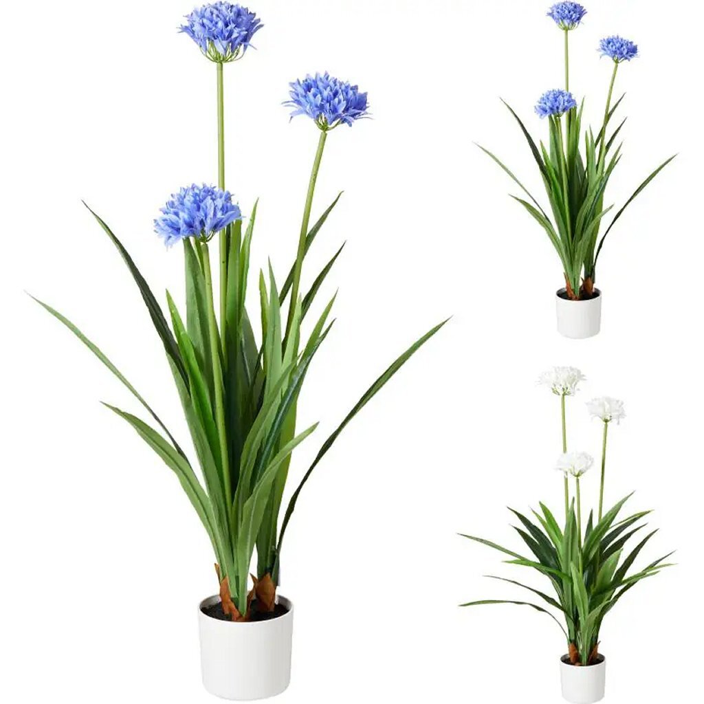 Overige Merken - Overige Merken Kunstplant agapanthus 70x120 cm blauw/wit