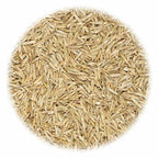 VidaXL Graszaad voor sport en spel 5 kg